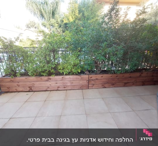 אדניות עץ עם שיחים ירוקים במרפסת מרוצפת
